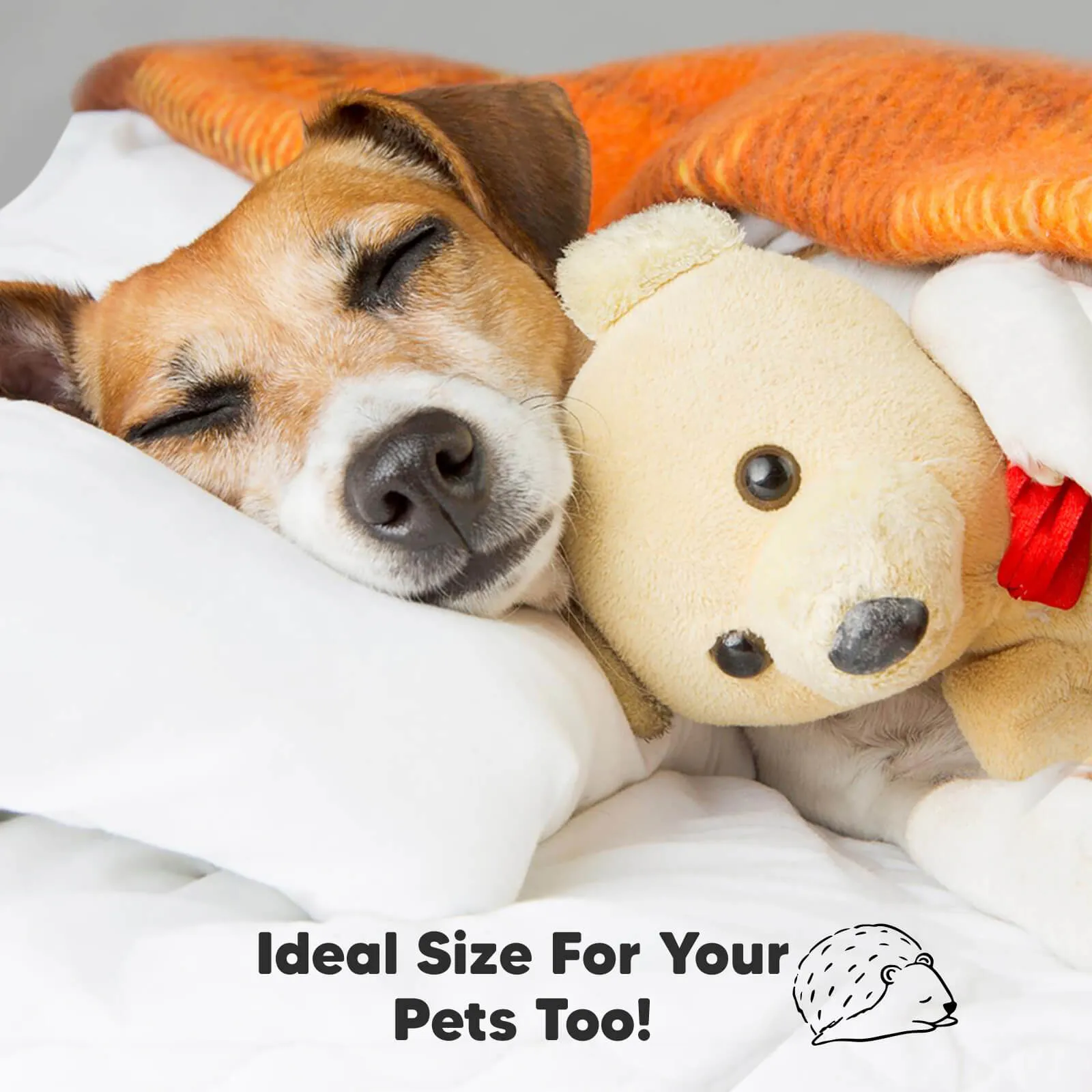 2-Pack Toddler Pillows (Herb)