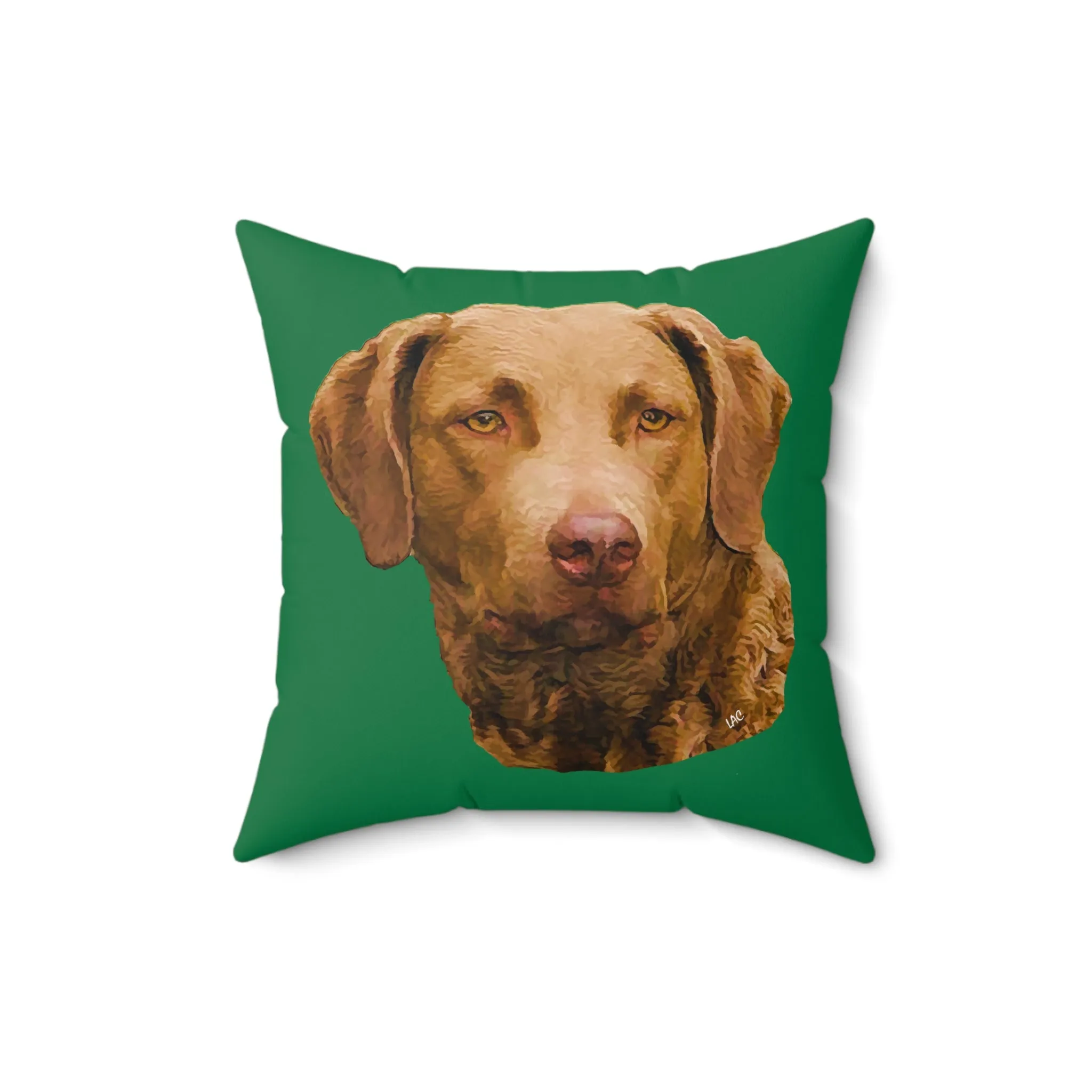 Chesapeake Bay Retriever - Spun Polyester Throw Pillow