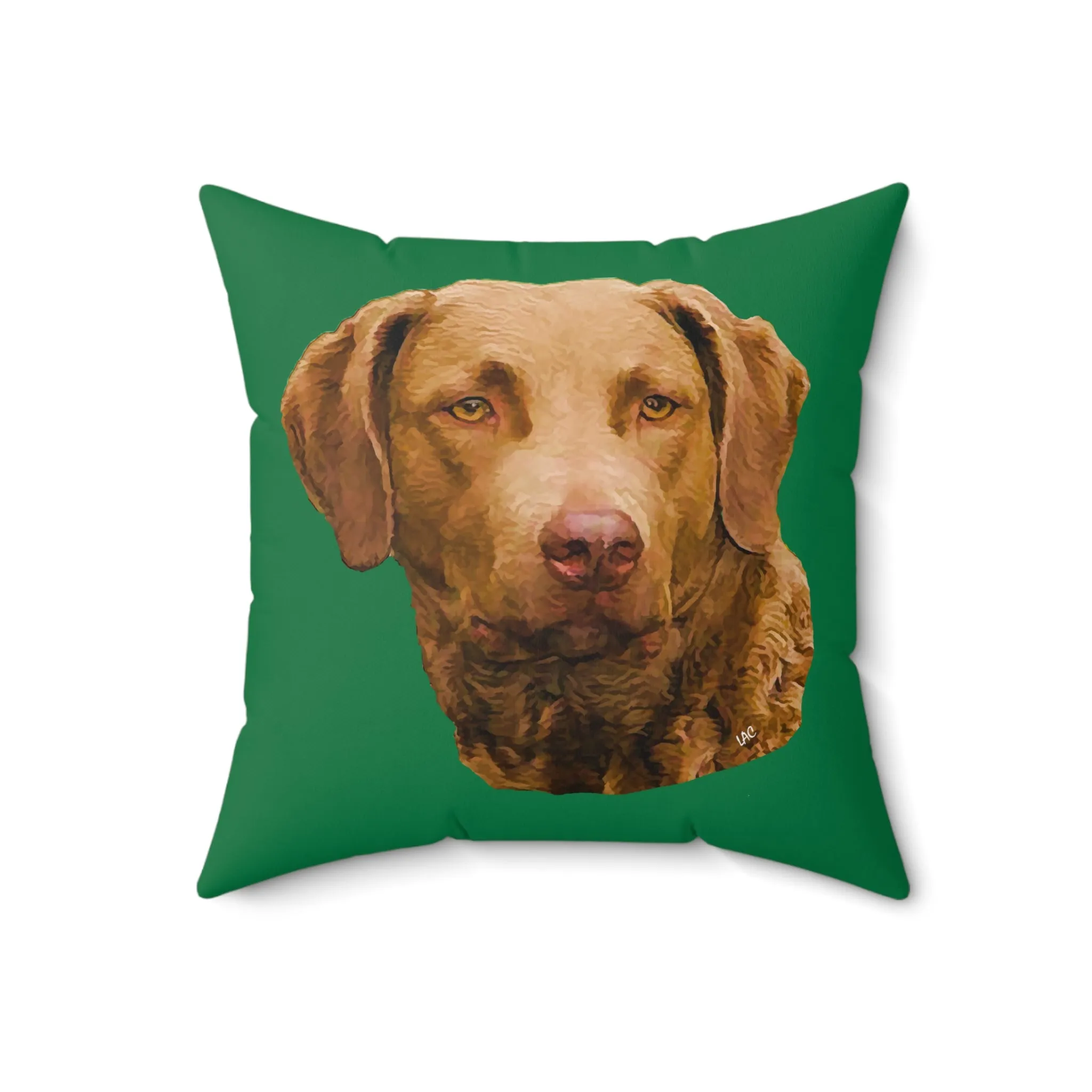 Chesapeake Bay Retriever - Spun Polyester Throw Pillow