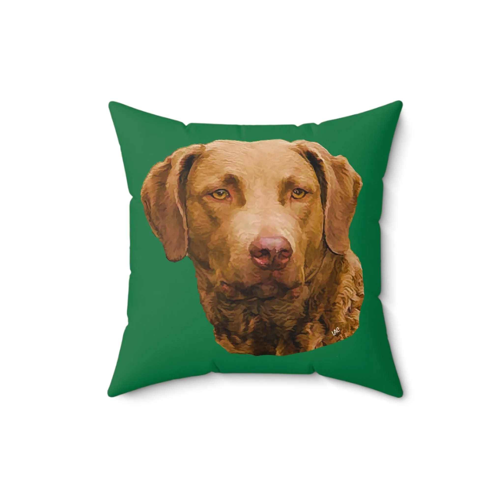 Chesapeake Bay Retriever - Spun Polyester Throw Pillow