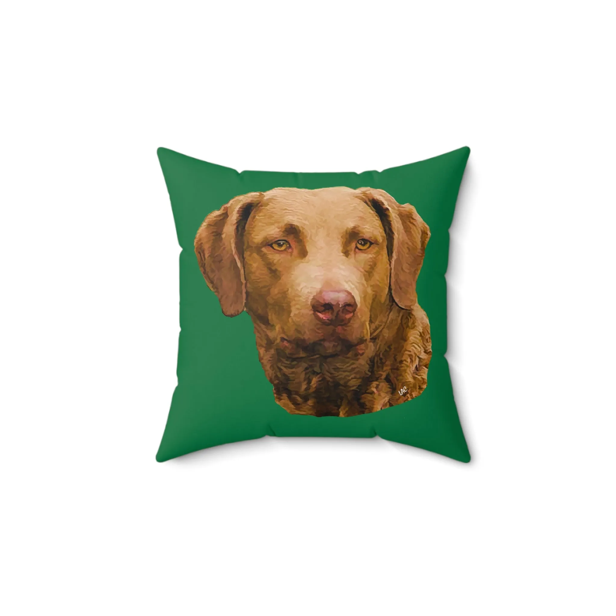 Chesapeake Bay Retriever - Spun Polyester Throw Pillow