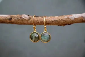 Gold Vermeil Hook Earrings in Labradorite