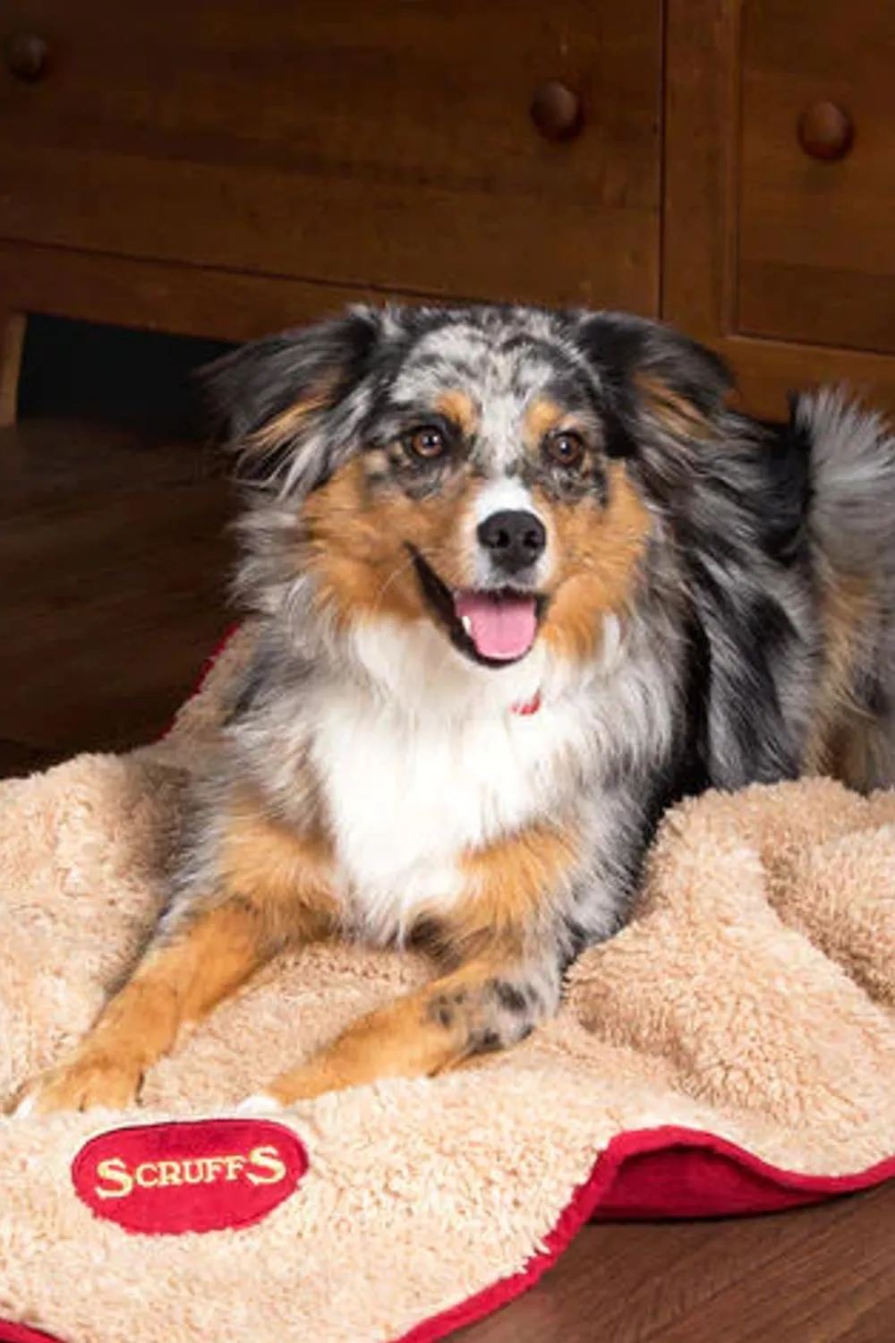 Scruffs Snuggle Blanket